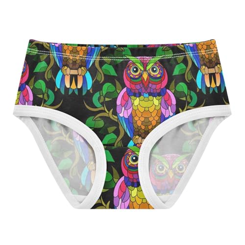 Cotton Toddlers Underwear Floral Vibrant Colorful Owls Black Cute Panties Girl Animal Undies Kids Briefs 2t