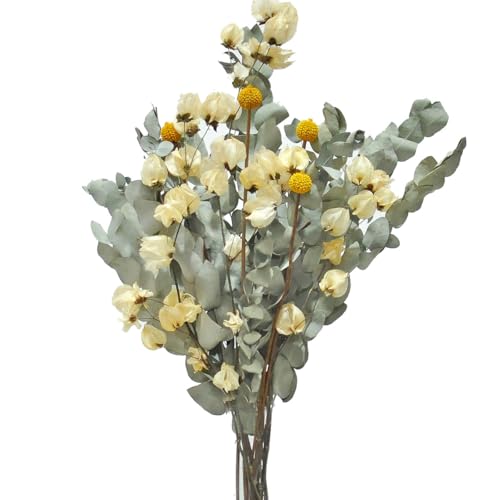 Buqu&ecirc; de Flores Desidratadas Elegante Eucalipto de Cheiro