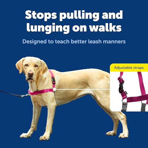 PetSafe Easy Walk Dog Harness, No Pull Dog Harness, Raspberry/Gray, Large - Image 5
