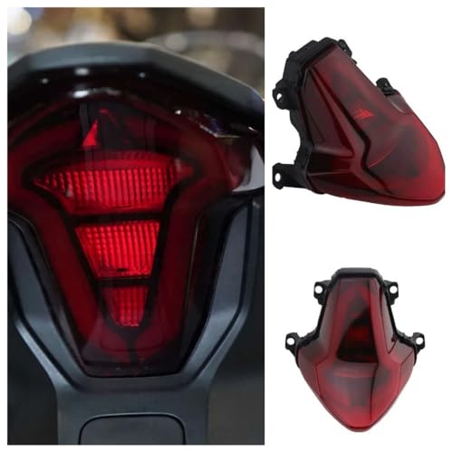 Freno luces trasero CF250-6 con acabado resistente y óptica ahumada para 250SR 300SR 2