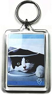 5 Large Blank Photo Keyrings 50 x 35 mm Insert 92033