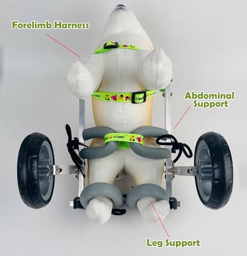 Chariot à deux roues pour chiens handicapés | Offrez une seconde vie - 6