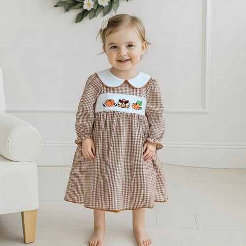 Toddler Girl Thanksgiving Smocked Dress Long Sleeve Peter Pan Collar Turkey Embroidery Striped Dress Fall Outfits3