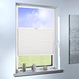 Sun World Plissee nach Maß, Klemmfix ohne Bohren, Faltrollo nach Maß Faltstore Maßanfertigung für Fenster und Türen (Farbe: Cremeweiß, Höhe: 120cm x Breite: 140cm)