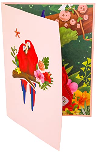 Poplife Parrot Love Birds 3D Pop Up Card For All Occasions - Valentine's Day, Anniversary, Mother's Day, Birthday Greeting Card, Christmas - Wedding, Love, Just Because, Thank You - For Wife, Mom, Step-Mom, Grandma, For Husband, Dad, Grandpa #TOP7