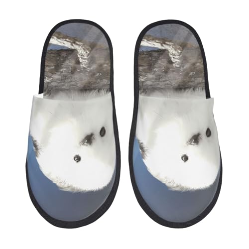 [zhandiffy] V}GiK 7 [V[YXbp ÉᔽEpXbp M