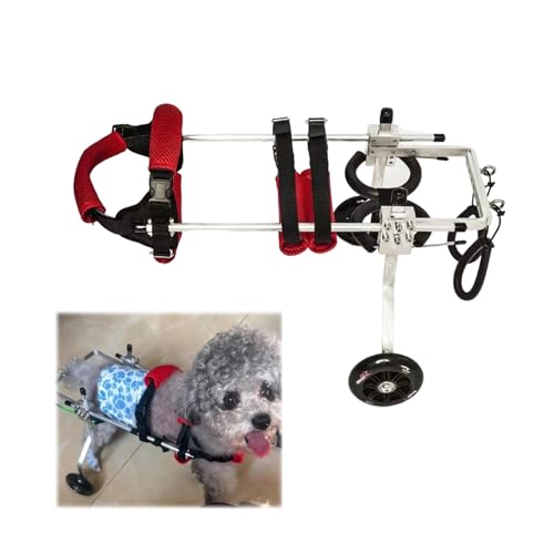 Chariot de marche pour chien blessé : aide à la mobilité