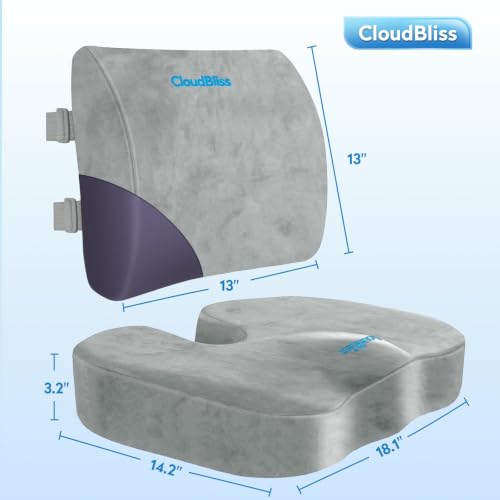Image of CloudBliss Lumbar Support Pillow & Seat Cushion Set for Office Chair, Desk Chair, Wheelchair & Car - Memory Foam Back Support, Ergonomic Chair Cushions, Sciatica Pain Relief,Home Essentials,Light Grey