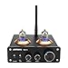AIYIMA Audio 6J1 Tube Preamplifier Bluetooth 5.0 HiFi Treble & Bass Adjustment Audio Preamplifier DC12V Vacuum Preamp for Home Theater System (Black+Bluetooth 5.0)