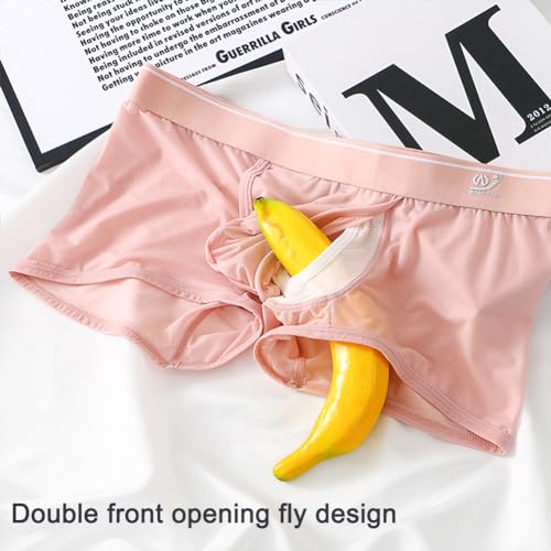 Men's Fly Pouch Underwear Breatable Boxer Briefs Separated Pouch Mesh See-through Trunks3