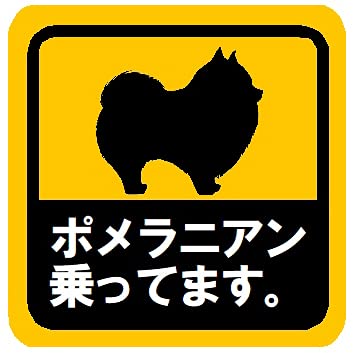 ポメラニアン カーマグネット バンパーステッカー【商品見本】 Amazon.co.jp: ポメラニアン乗ってます カー マグネットステッカー