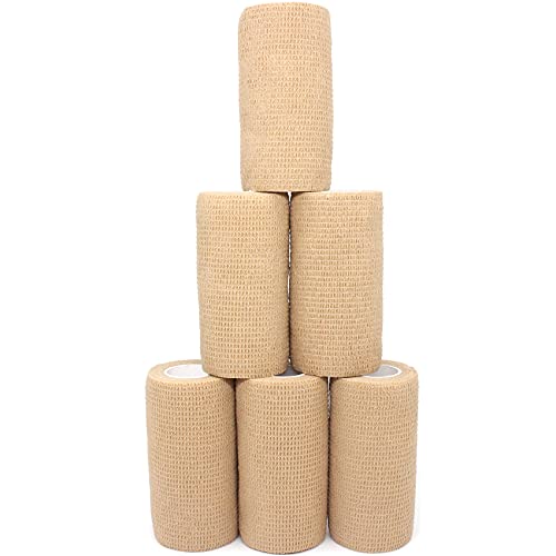 KEQCQE Lk e͕єSуe[sO oe[W ybg  LhsDz ֐߃T|[g Lk ʋC 6