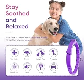 GIUSOBG Collare Calmante per Cani 2 Pezzi 62 CM Anti-ansia Regolabile Feromoni Misura Regolabile (Collari per cani*2)