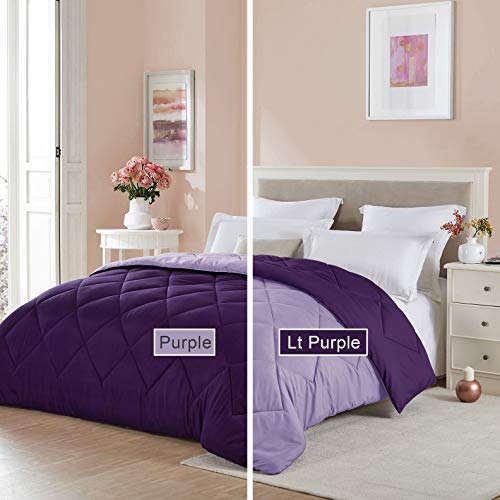 Seward Park Solid Color Reversible Comforter, Hypoallergenic Plush Microfiber Fill, Duvet Insert or Stand-Alone Spring or Summer Comforter for Dorm, Lightweight, Twin Extra Long, Plum/Purple