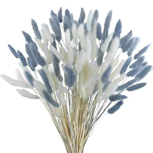 Barlone 120 Stück Pampasgras Klein, Hasenschwanzgras Getrocknet Pampasgras Deko, Pampas Gras Trockenblumen Weiß und Graublau, Trockenblumen Klein Pampas Gras für Deko Wohnzimmer Hochzeit Tischdeko