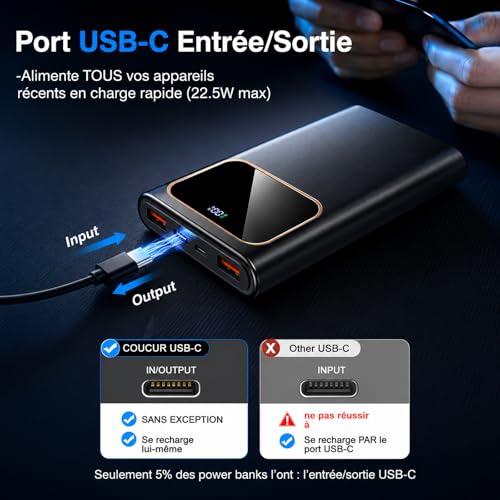 PowerBank Schnellladung DY201XD0205B