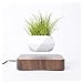 JSJJRGB deko Wohnzimmer Schwebende Luft Bonsai -Topf Rotation Blumentopf Pflanzer magnetische Suspension schwimmende Topfplatten Pflanze Home Schreibtischdekoration