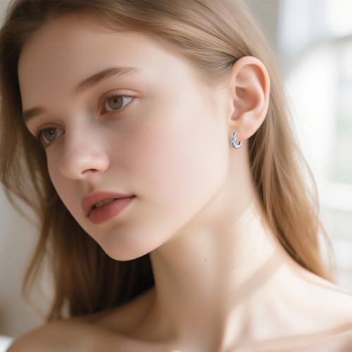 925 Sterling Silver Star of David Earrings Hoop Leverback Earrings for Women Jewish Jewelry Gifts2