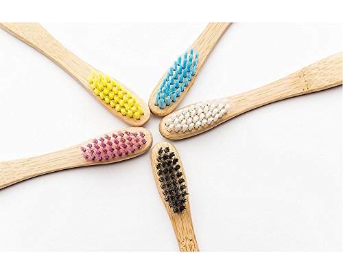 Image of Humble Brush Adult Toothbrush - Medium Bristle - Mixed Colours - Single