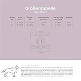 Hey Lana Hundegeschirr Handmade, 5-Fach verstellbar & wasserfest, Made in Germany, kleine bis sehr große Hunde, Führgeschirr Brustgeschirr Führungsgeschirr Training (M, schwarz/Mint)
