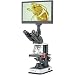 KOPPACE 40X-2500X Electron Biological Microscope 2 Million Pixels 11.6 