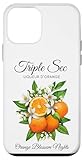 Vintage European Classic Fruit Orange Lovers Women