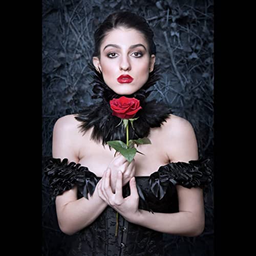Homelex Gothic Victorian Black Natural Feather Collar Choker Halloween Shawl Cape #TOP3