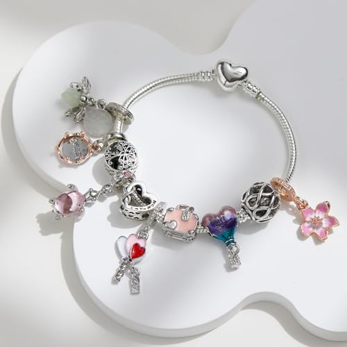 Karakara 10 Pack Silver Bead Charms Compatible with Pandora-Style Bracelets, Large Hole European Beads for Women, DIY Jewelry Accessories, Spacer Beads Individually Packaged2