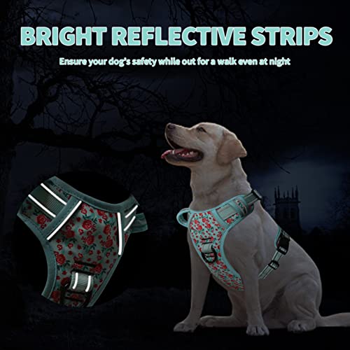 Timos No Pull Dog Harness,Reflective Oxford Adjustable No Choke Puppy Harness With Front & Back 2 Metal Leash Clips, Soft Padded Outdoor Vest Harnesses With Easy Control Handle For Medium Dogs,Cyan,M #TOP2