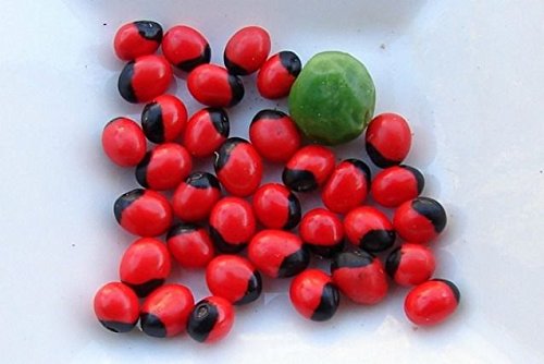 See full amazon price history chart for Pmw - ROSARYPEA - CHANOTHI-GURI GUNJA - LATUMONI - GUMCHI - CRABSEYE - Damage Checked - Set Of 11 Seeds - Loose Packed Pmw - ROSARYPEA - CHANOTHI-GURI GUNJA - LATUMONI - GUMCHI - CRABSEYE - Damage Checked - Set Of 11 Seeds - Loose Packed (B079RNNJ2N) Amazon Price History, Amazon Price Tracker