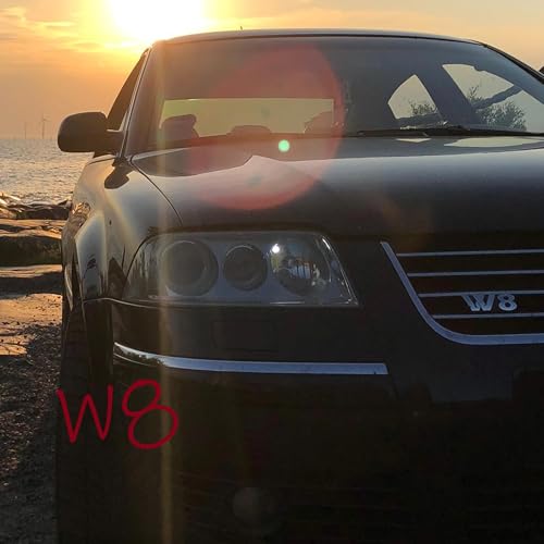 Passat W8