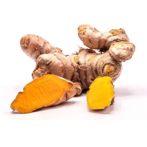 Fresh Turmeric Premium 90-100g India