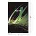 POSTER STOP ONLINE The X-Files - Movie/TV Show Poster (Fight/Green) (Size 23