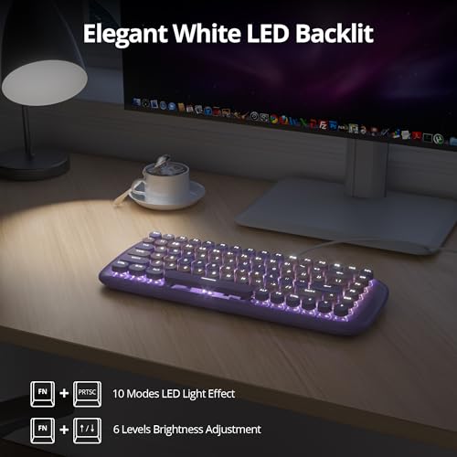 Teclado Mecánico Gamer Retro iRoboosta USB-A miniatura 4