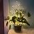 Plant Trellis for Climbing Plants Indoor Outdoor, Trlzey 3 Pack Stackable Metal Trellis - Small Garden Trellis for Potted Plants, Vine Support for Ivy, Flowers, DIY Home Deco
