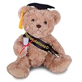 WEIGEDU Graduation Teddy Bear Stuffed Animal Plush Toy with Doctoral Tam Velvet Gold Bullion Tassel