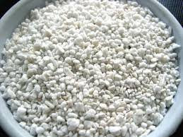 Bhajanlal Greenery Best Perlite for Hydroponic, Gardening, Horticulture, Nursery Mixing (500g White) (B07MM5S9YG) Amazon Price History, Amazon Price Tracker