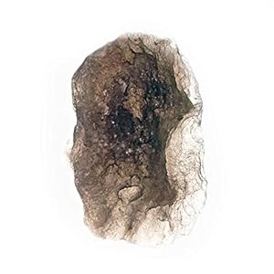 Starborn Agni Manitit Handstein 20-30g