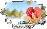 DesFoli Seestern Sonnenhut Flip Flops Strand Wandtattoo Wandsticker Wandaufkleber C2525 Größe 120 cm x 180 cm