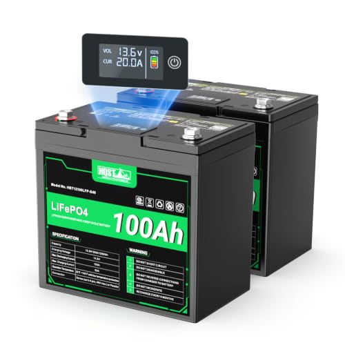 Image of HQST 12V 200Ah LiFePO4 Battery, Group 22NF, BMS, LED Meter, 2560Wh, 2*100Ah