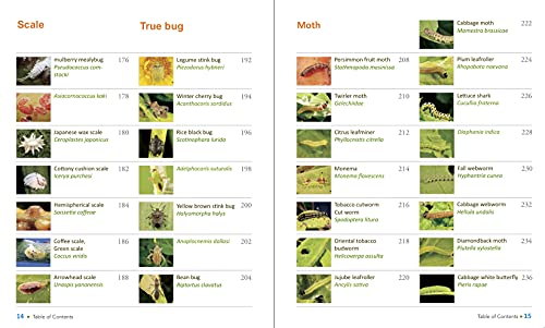 Jadam Organic Pest And Disease Control: Powerful Diy Solutions To 167 Common Garden Pests And Diseases, The Way To Independence From Commercial Pesticides #TOP3