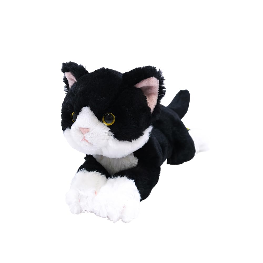 Amazon.co.jp: サンレモン ひざねこ ハチワレ SS 11×29×12cm