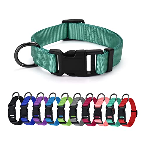 AUDWUD Collare in nylon spesso,collare classico per cani regolabile in più colori,adatto per cani di piccola,media e grande taglia,4 taglie