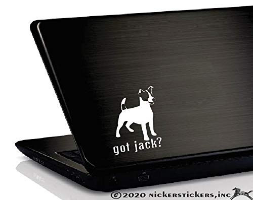 Amazon.com: Got Jack? ~ Jack Russell Terrier Vinyl Window Auto