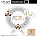 CRLight Dimmable 6W LED Edison Bulb, 60W Equivalent 3000K Soft White, ST64 Vintage Edison Light Bulbs, 600 LM E26 Clear Glass Lightbulbs, Pack of 6