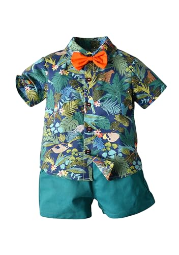 [OMZIN] q am ZbgAbv j̎q  CVc Zp nC ㉺Zbg  xr[ LbY tVc n[tpc [EFA _[NO[ 100