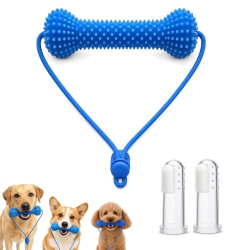 Qpets® Dog Toothbrush Toy | Dog Teeth Cleaning Toy for Oral Care ...