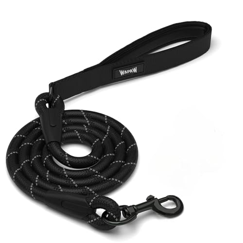 Image of 5FT Strong Dog Leash with Comfortable Padded Handle and Highly Reflective Threads Dog Leashes for Small Medium and Large Dogs (Leash - Black)