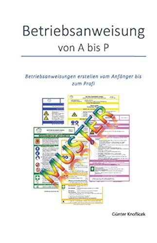 Betriebsanweisungen von A bis P: Betriebsanweisungen vom Anfänger bis zum Profi (Arbeitsschutz leicht gemacht, Band 2)