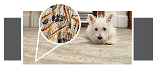 Advantage Flea, Tick and Bedbug Carpet and Upholstery Spot Spray, 16 oz - Image 7